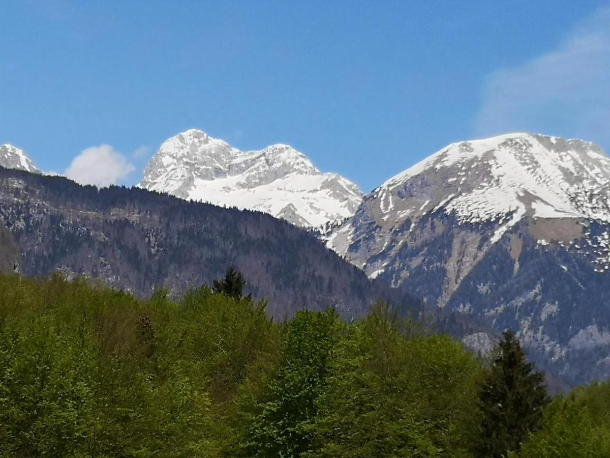 Apartmaji Prezelj Bohinj Eksteriør billede