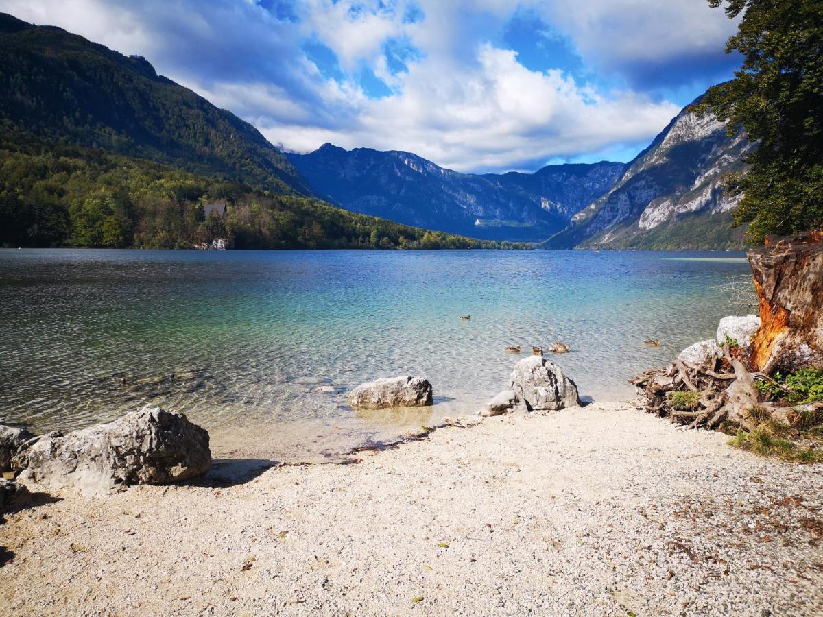 Apartmaji Prezelj Bohinj Eksteriør billede